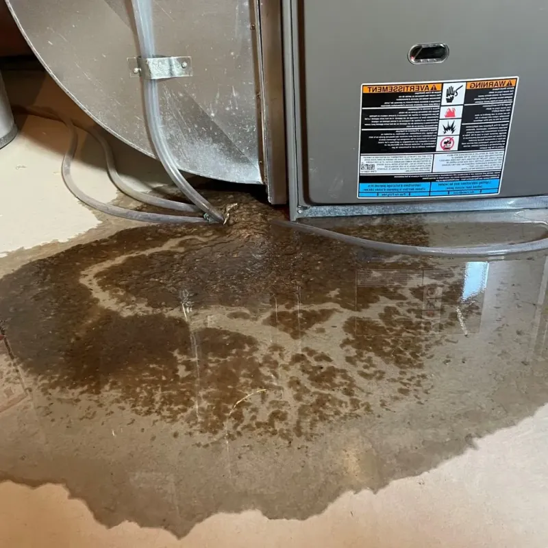Pipe Burst and Leak Restoration in Linn County, MO