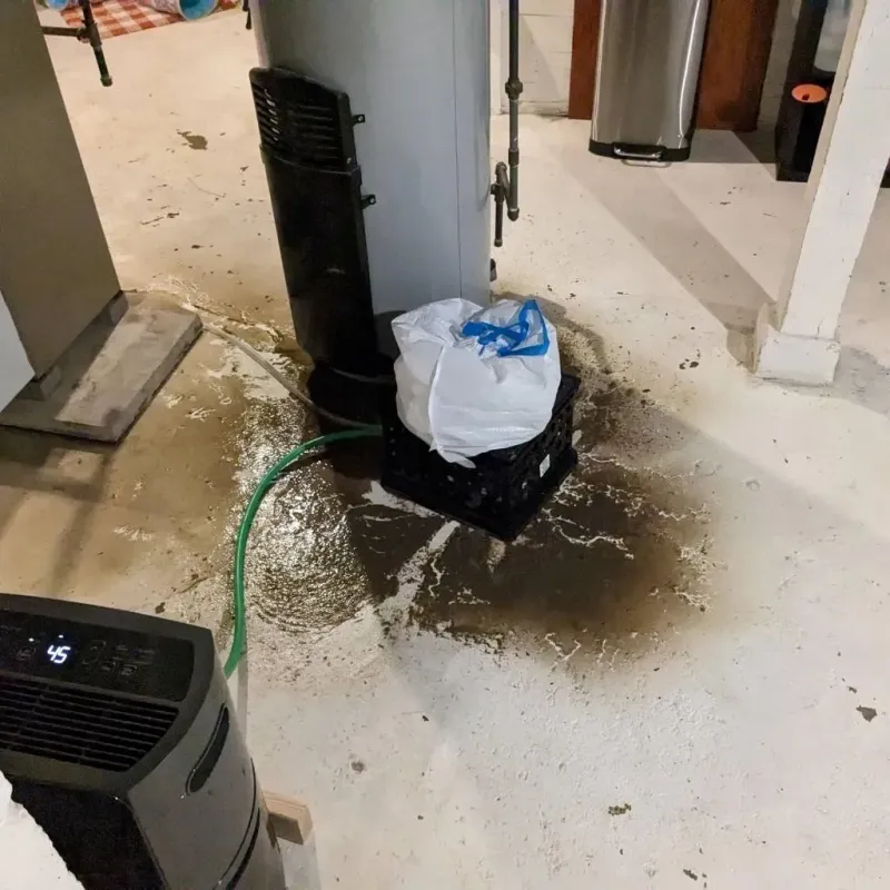 Sewage Backup Cleanup Service in Linn County, MO